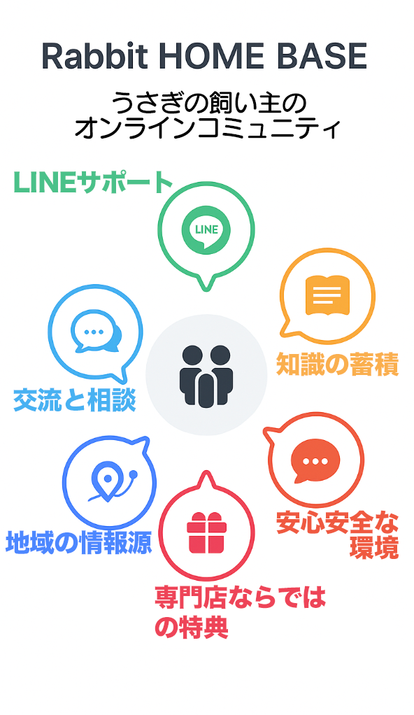 Rabbit HOME BASE の図解