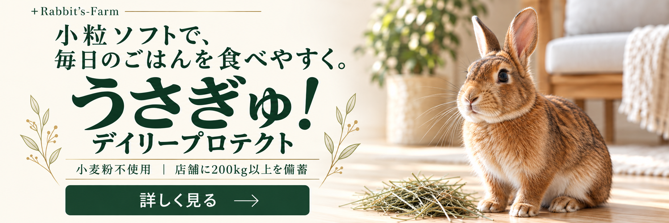小粒ソフトで、毎日のごはんを食べやすく。うさぎゅ！デイリープロテクト。小麦粉不使用・店舗に200kg以上を備蓄。詳しく見る